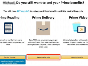 Amazon vous demandera si vous êtes sûr de vouloir mettre fin à vos avantages Prime